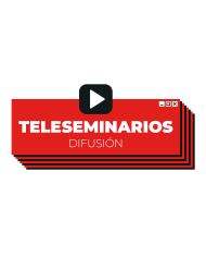 WEBINAR. Estudios de caso de nivel B1: del potencial básico a la práctica laboral inmersiva