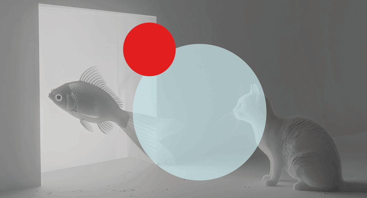 Un gato intenta comunicarse con un pez